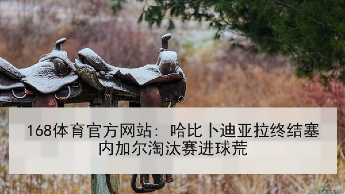 168体育官方网站: 哈比卜迪亚拉终结塞内加尔淘汰赛进球荒