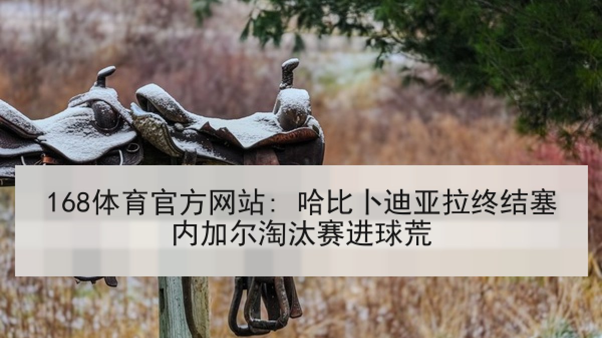 168体育官方网站: 哈比卜迪亚拉终结塞内加尔淘汰赛进球荒