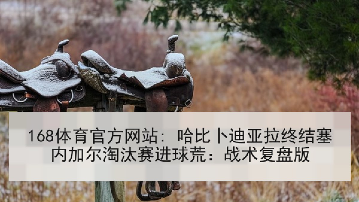 168体育官方网站: 哈比卜迪亚拉终结塞内加尔淘汰赛进球荒：战术复盘版