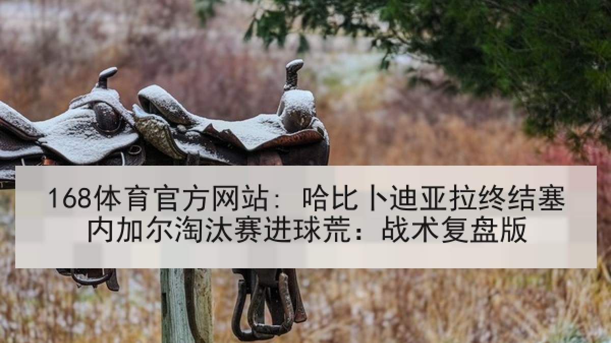 168体育官方网站: 哈比卜迪亚拉终结塞内加尔淘汰赛进球荒：战术复盘版