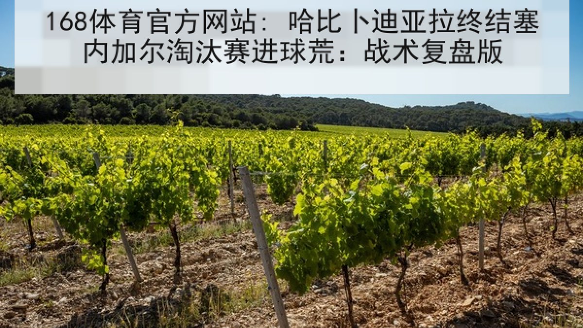 168体育官方网站: 哈比卜迪亚拉终结塞内加尔淘汰赛进球荒：战术复盘版