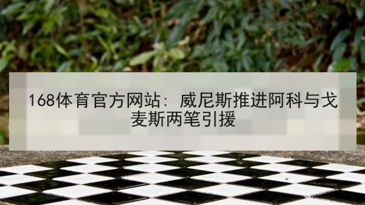 168体育官方网站: 威尼斯推进阿科与戈麦斯两笔引援
