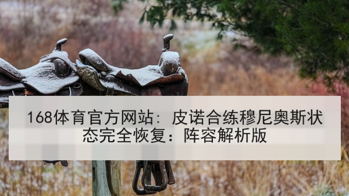 168体育官方网站: 皮诺合练穆尼奥斯状态完全恢复：阵容解析版