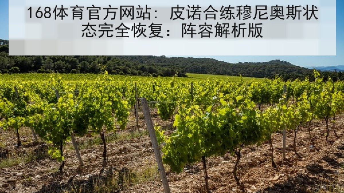 168体育官方网站: 皮诺合练穆尼奥斯状态完全恢复：阵容解析版