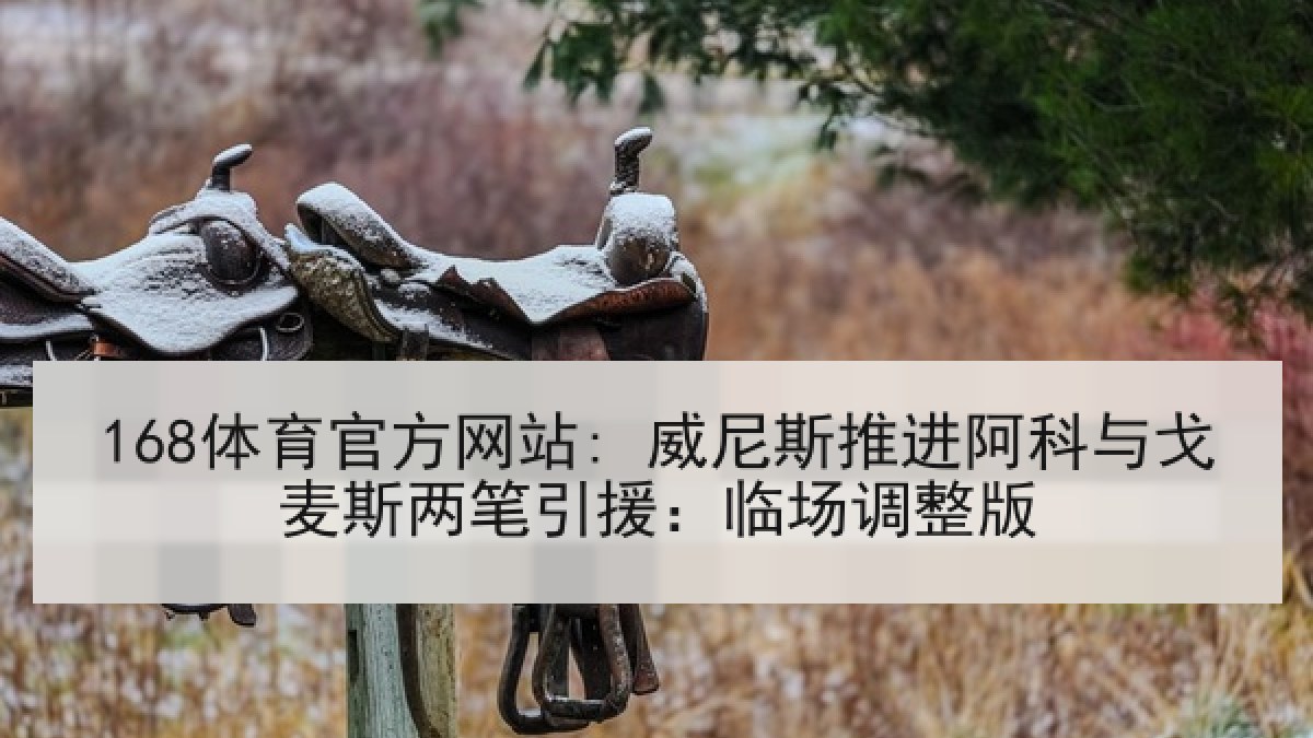 168体育官方网站: 威尼斯推进阿科与戈麦斯两笔引援：临场调整版