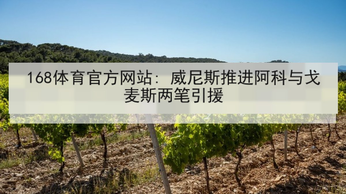 168体育官方网站: 威尼斯推进阿科与戈麦斯两笔引援