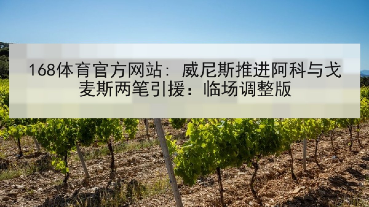 168体育官方网站: 威尼斯推进阿科与戈麦斯两笔引援：临场调整版