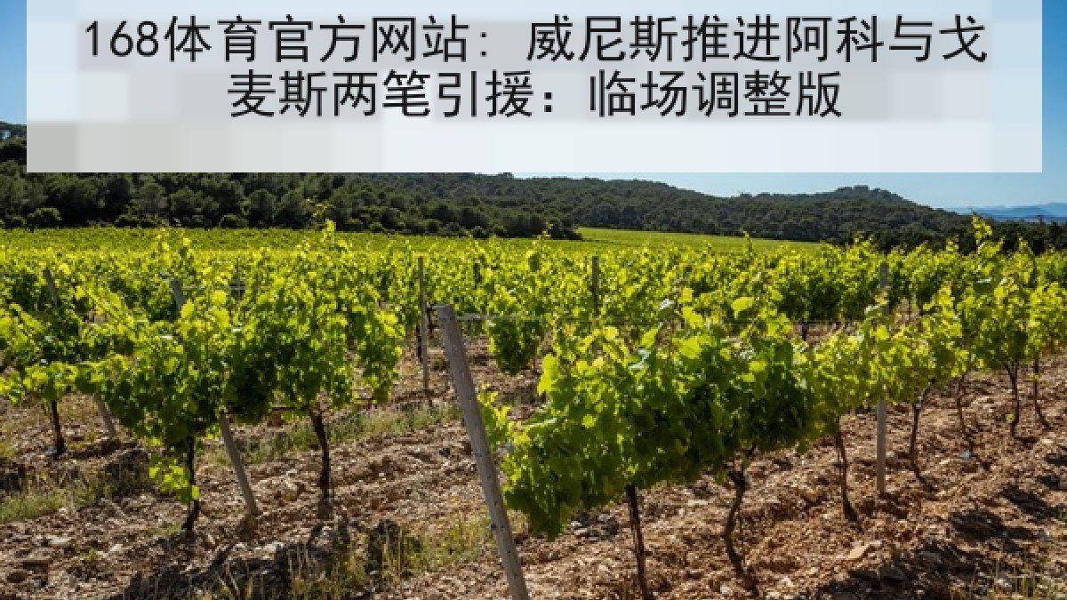 168体育官方网站: 威尼斯推进阿科与戈麦斯两笔引援：临场调整版