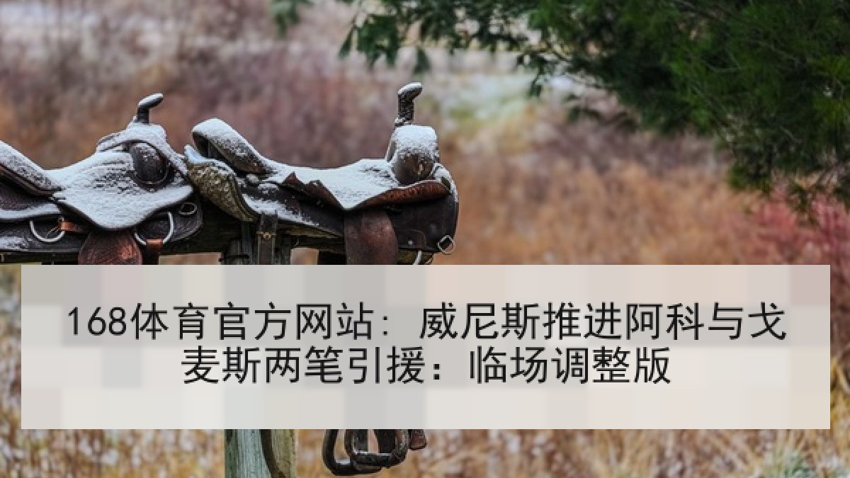 168体育官方网站: 威尼斯推进阿科与戈麦斯两笔引援：临场调整版